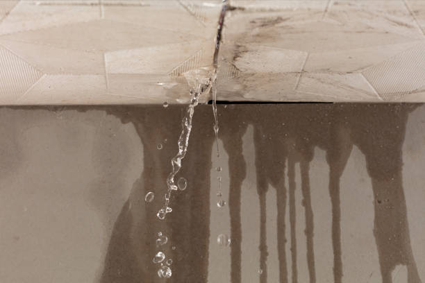 Professional Burst Pipe Cleanup technician working in Crestline, CA